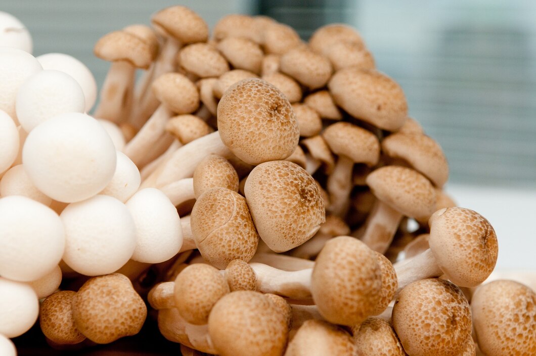 selective-focus-shot-white-brown-fresh-shimiji-mushrooms_181624-51852.jpg